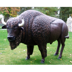 BISON TAILLE REELLE